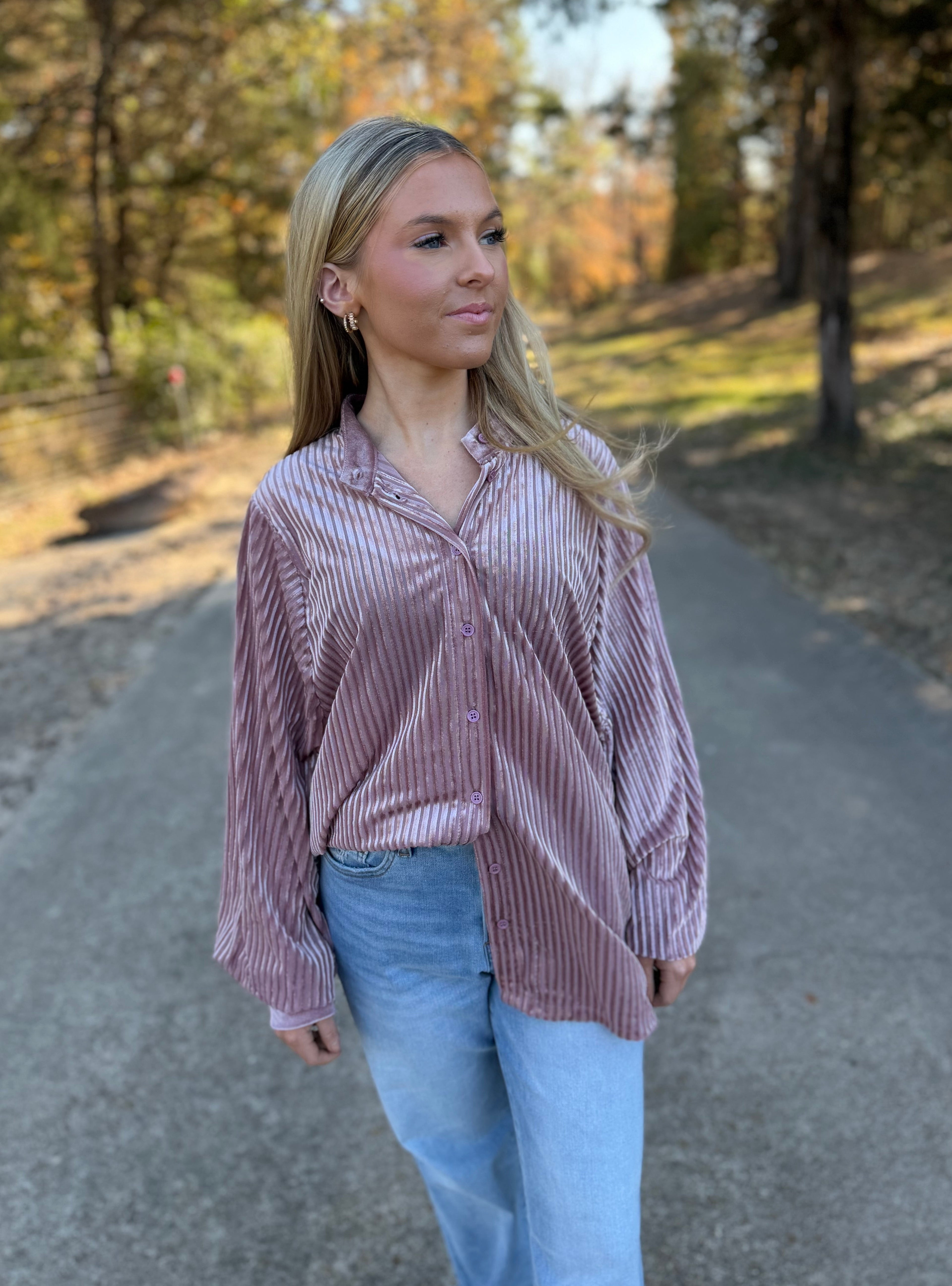 Velvet Striped Blouse